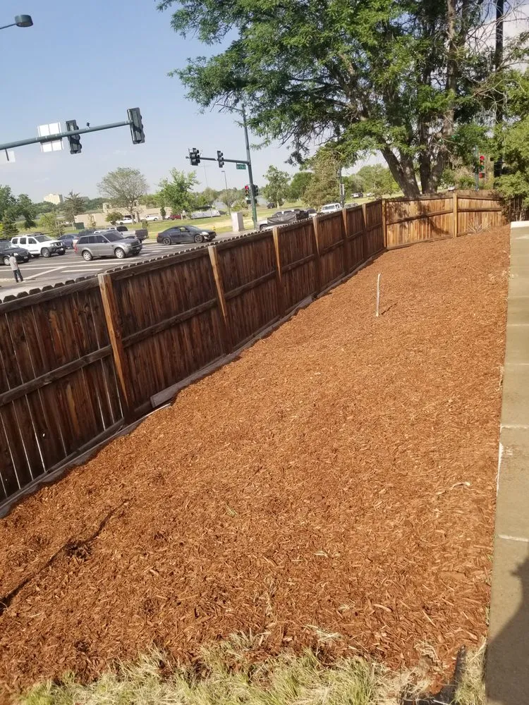 Trusted lawn care service in Denver, CO - Yard Warriors