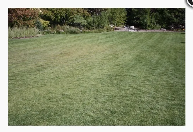 Top-rated landscaping services in Sturgis, MS by Yard Werks Lawn Service
