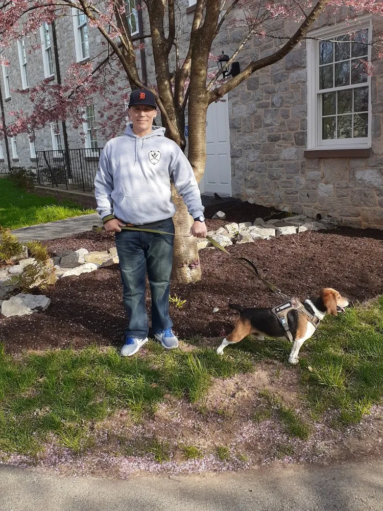 Expert yard maintenance experts serving Carlisle, PA - Yard Werx