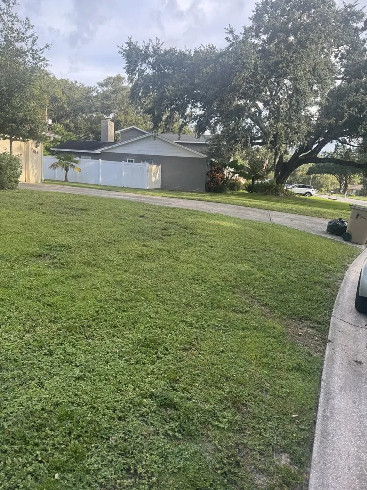 Local landscape design in Ruskin, FL by Yard Wise Lawn Care