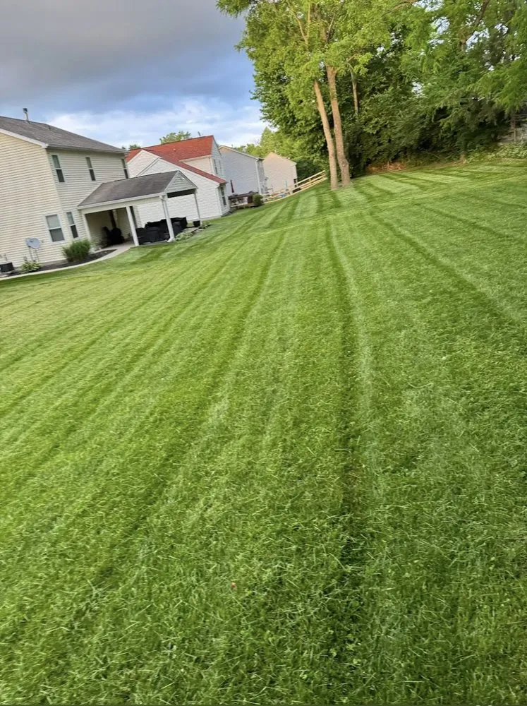 Affordable landscaping services experts serving Monroe, OH - Yard Wizard Landscaping