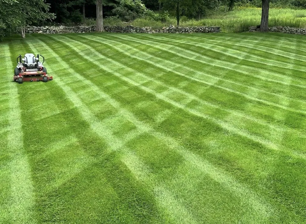 Affordable yard cleanup service in Monroe, OH - Yard Wizard Landscaping