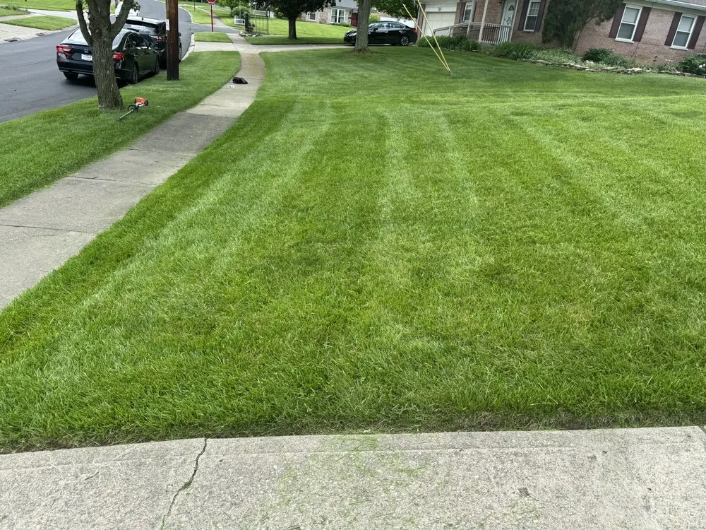 Top-rated residential landscaping experts serving Monroe, OH - Yard Wizard Landscaping