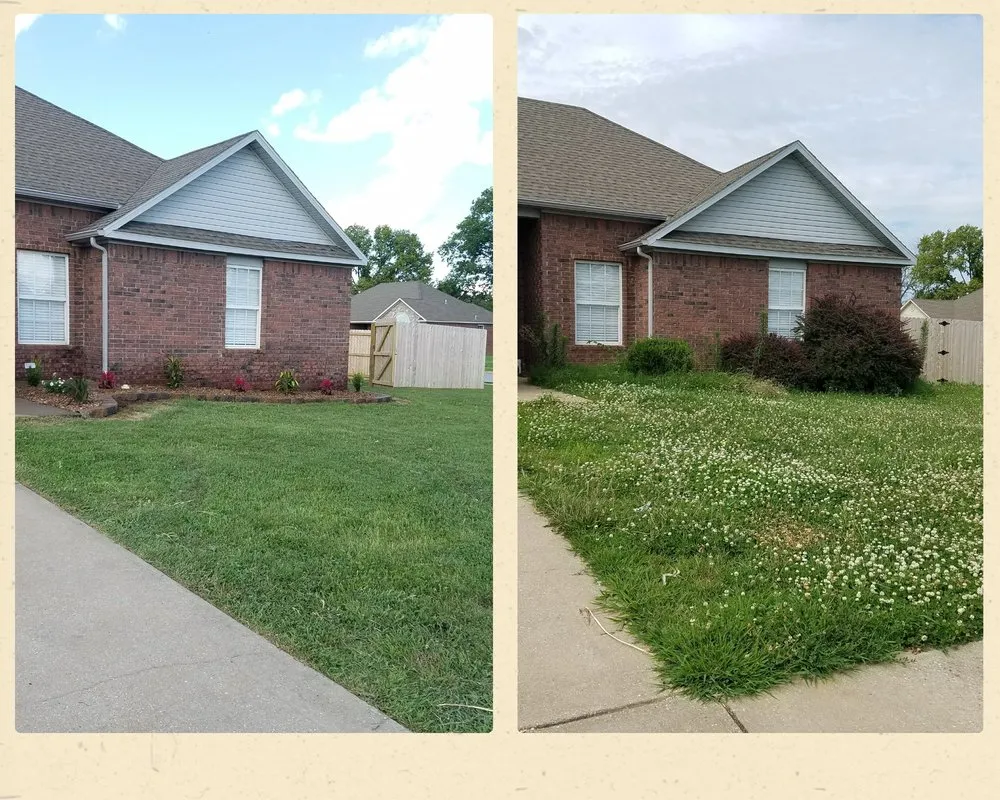 Local landscape design experts serving Bentonville, AR - Yard Wizards Landscaping