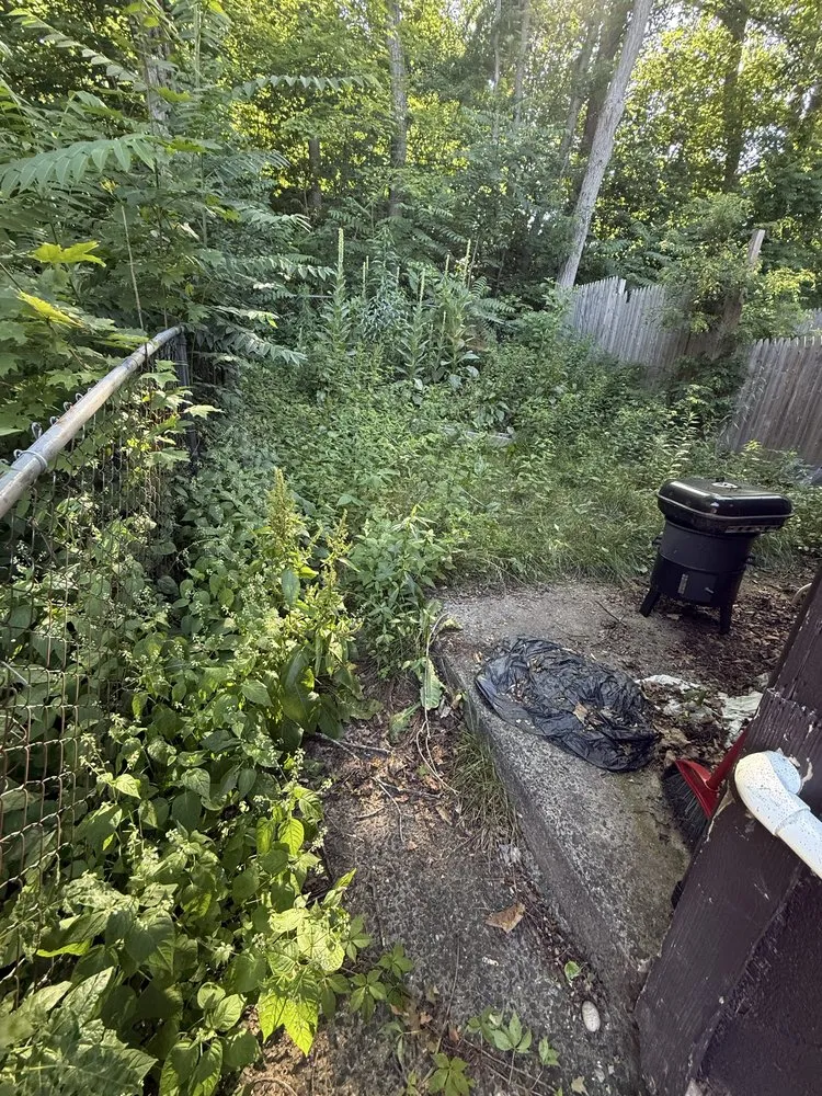 Top-rated outdoor landscaping near you across Waterbury, CT - Yard Wizards