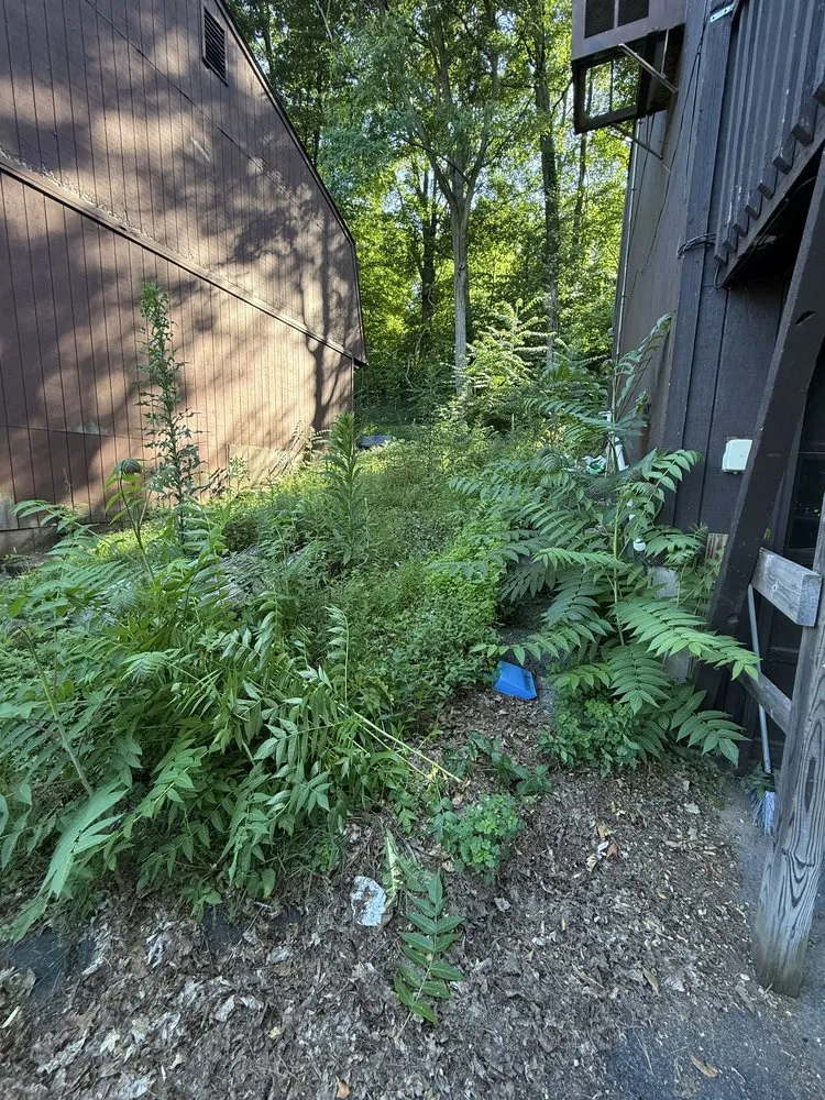 Professional outdoor landscaping in Waterbury, CT - Yard Wizards