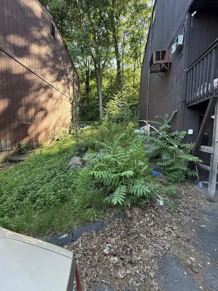 Local lawn mowing service near you across Waterbury, CT - Yard Wizards