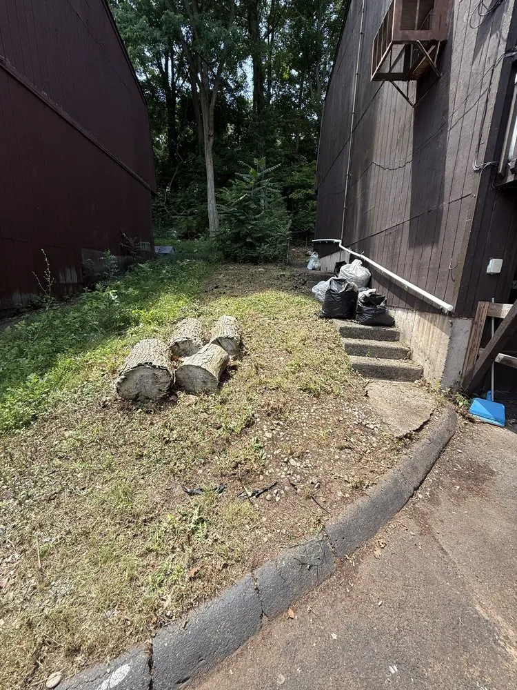 Top-rated yard maintenance experts serving Waterbury, CT - Yard Wizards