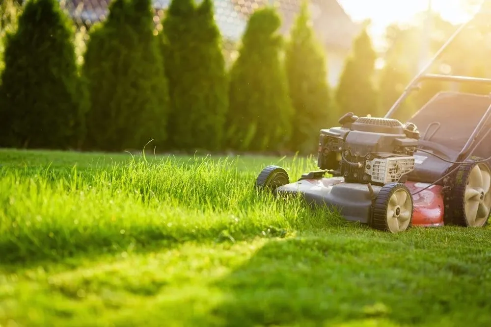 Trusted lawn care service in Waterbury, CT by Yard Wizards