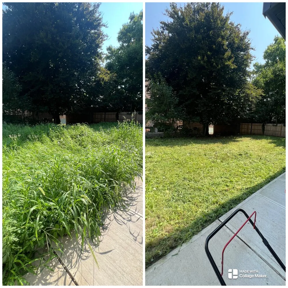 Top-rated lawn care service in Jersey City, NJ by Yard Work & Cleanings