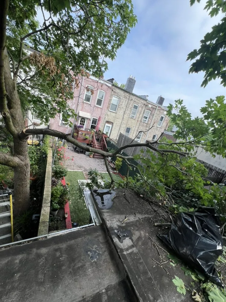 Local landscape installation in Jersey City, NJ - Yard Work & Cleanings