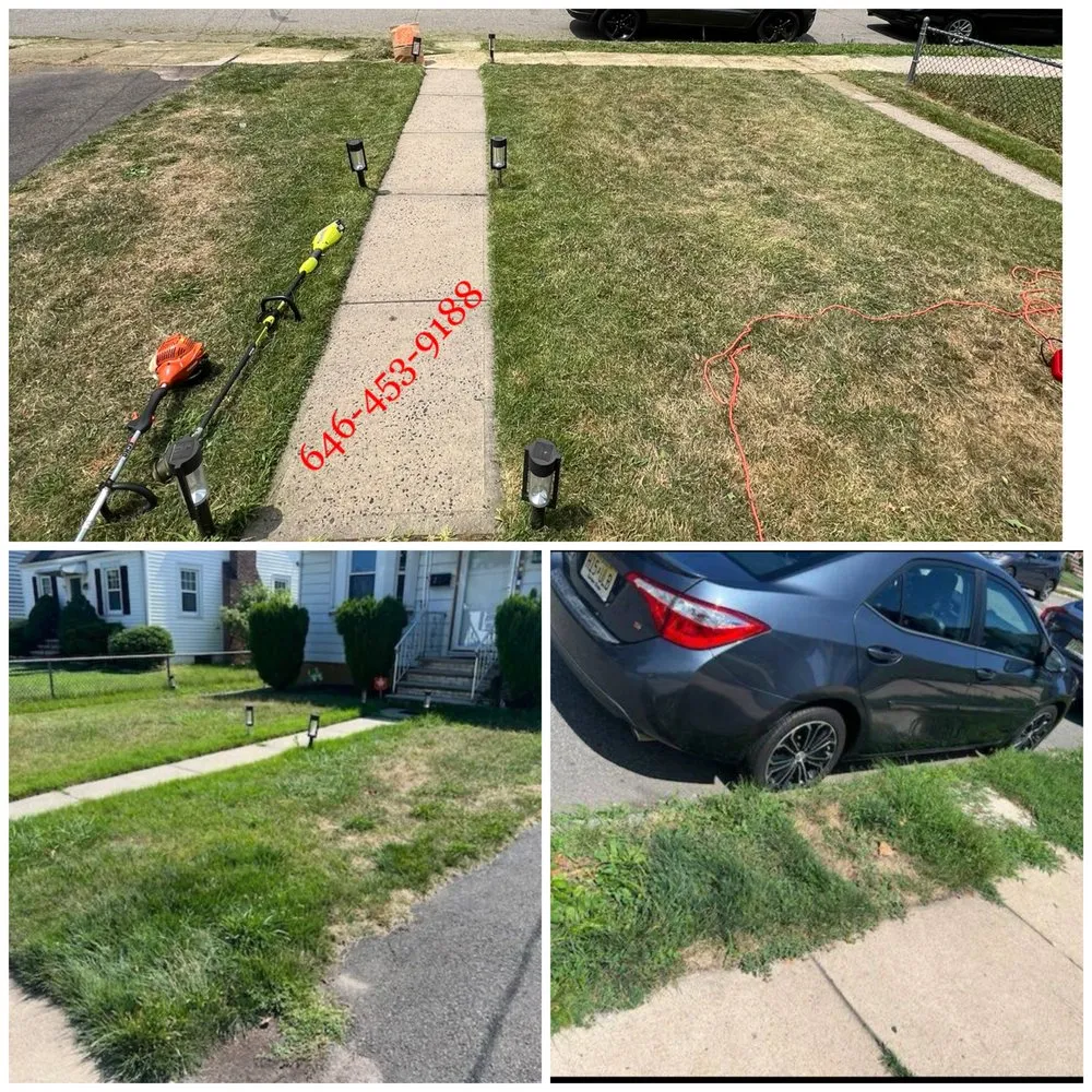 Top-rated residential landscaping with custom design in Jersey City, NJ by Yard Work & Cleanings