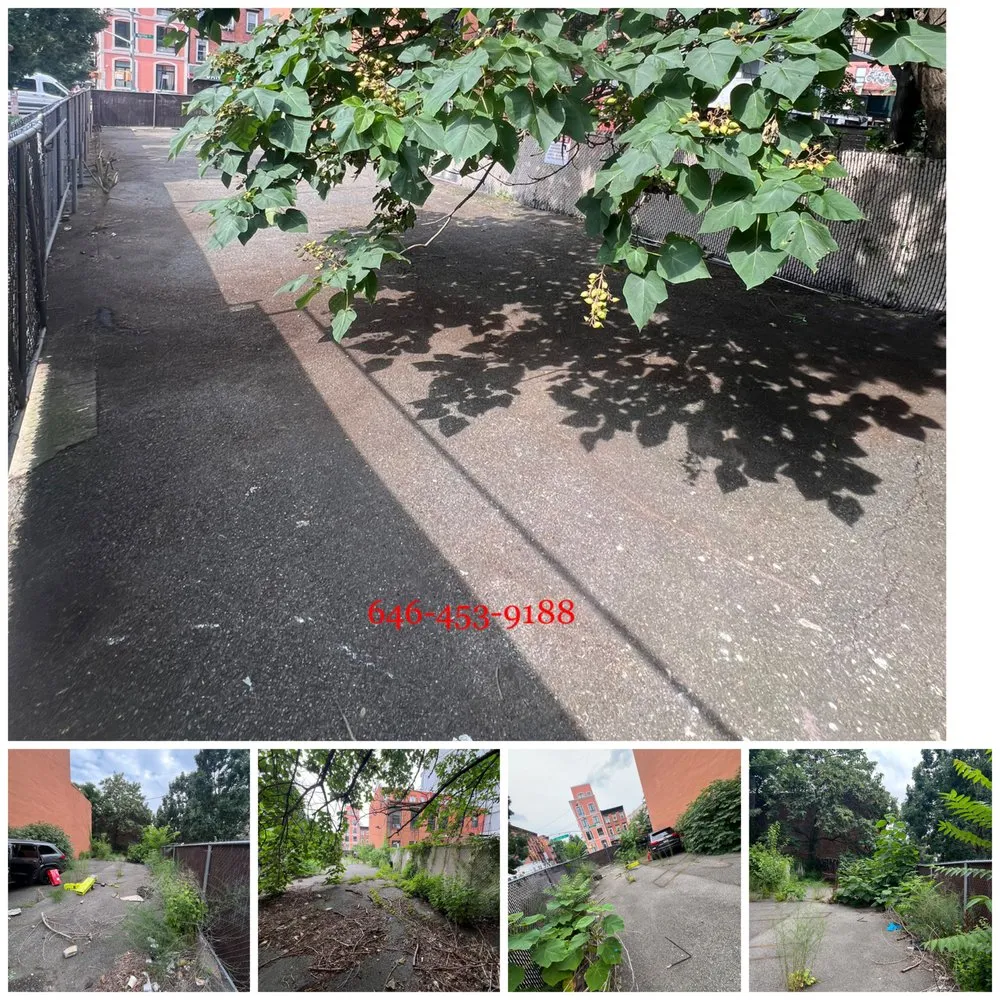 Local lawn care service in Jersey City, NJ - Yard Work & Cleanings