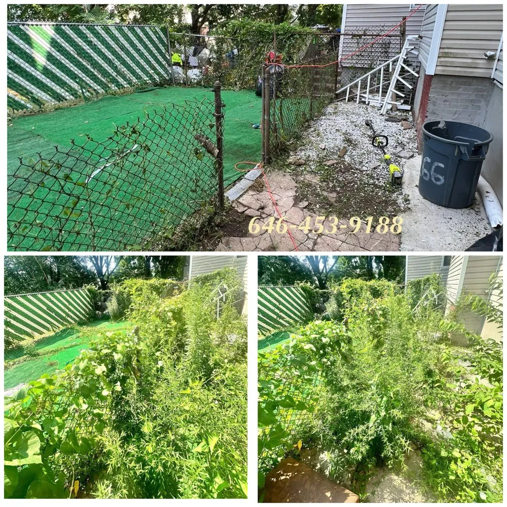 Top-rated landscape design for year-round maintenance in Jersey City, NJ by Yard Work & Cleanings