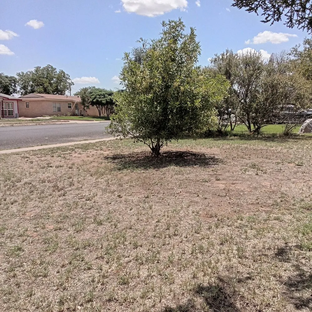 Custom lawn mowing service in Odessa, TX by Yard work by DP