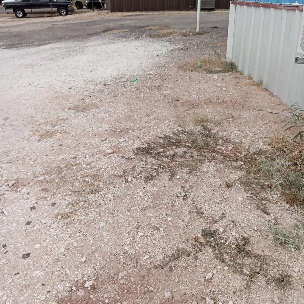 Trusted yard cleanup service in Odessa, TX - Yard work by DP