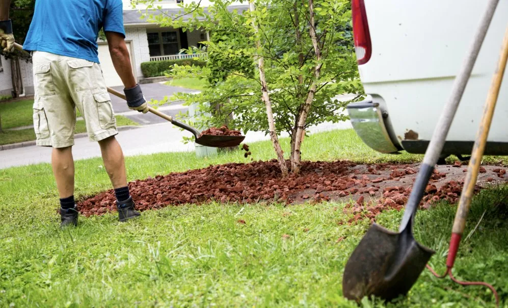Professional landscape design in Roy, UT - Yard Work Crew