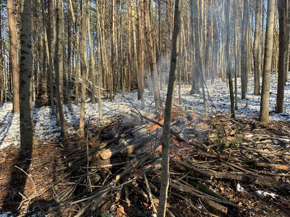 Local landscape design in Ellijay, GA by Yard Work
