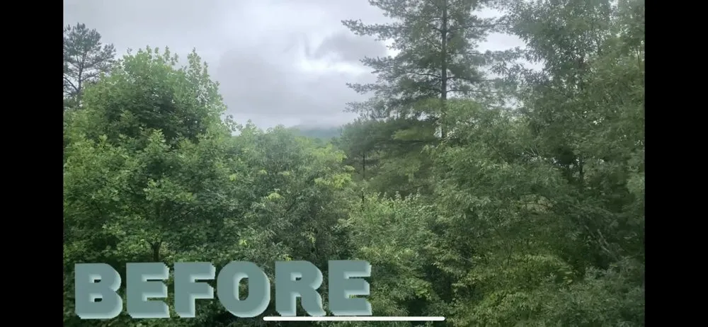 Top-rated landscape design for outdoor upgrades across Ellijay, GA - Yard Work