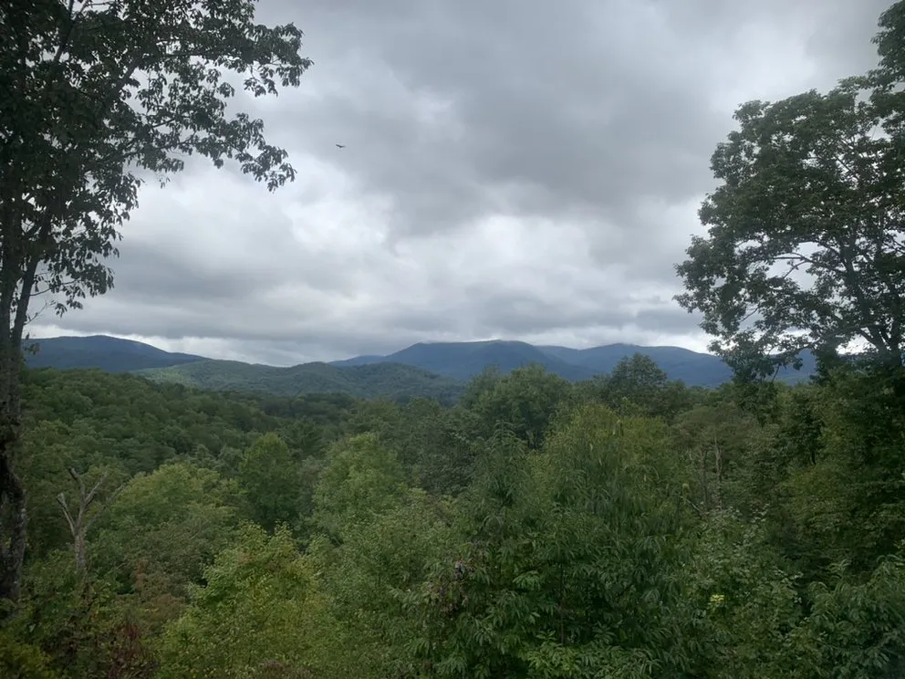 Local yard cleanup service experts serving Ellijay, GA - Yard Work