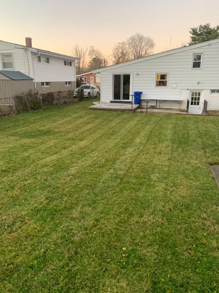 Top-rated yard cleanup service in Essexville, MI - Yard Work