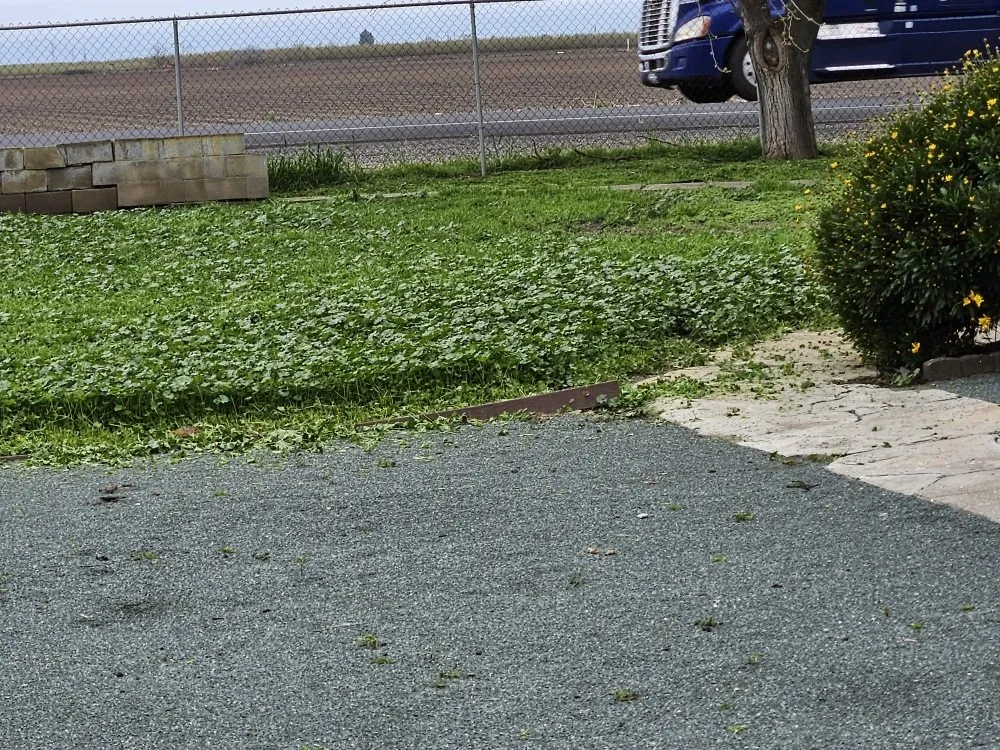 Custom lawn mowing service for year-round maintenance across French Camp, CA - Yard Work