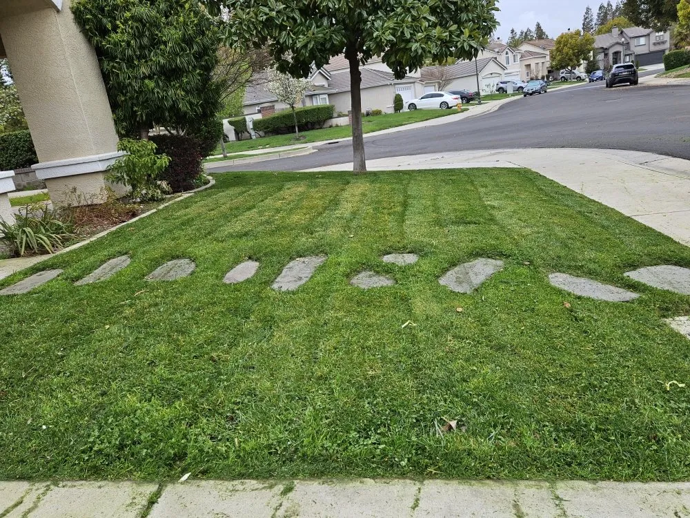 Custom landscape design in French Camp, CA - Yard Work