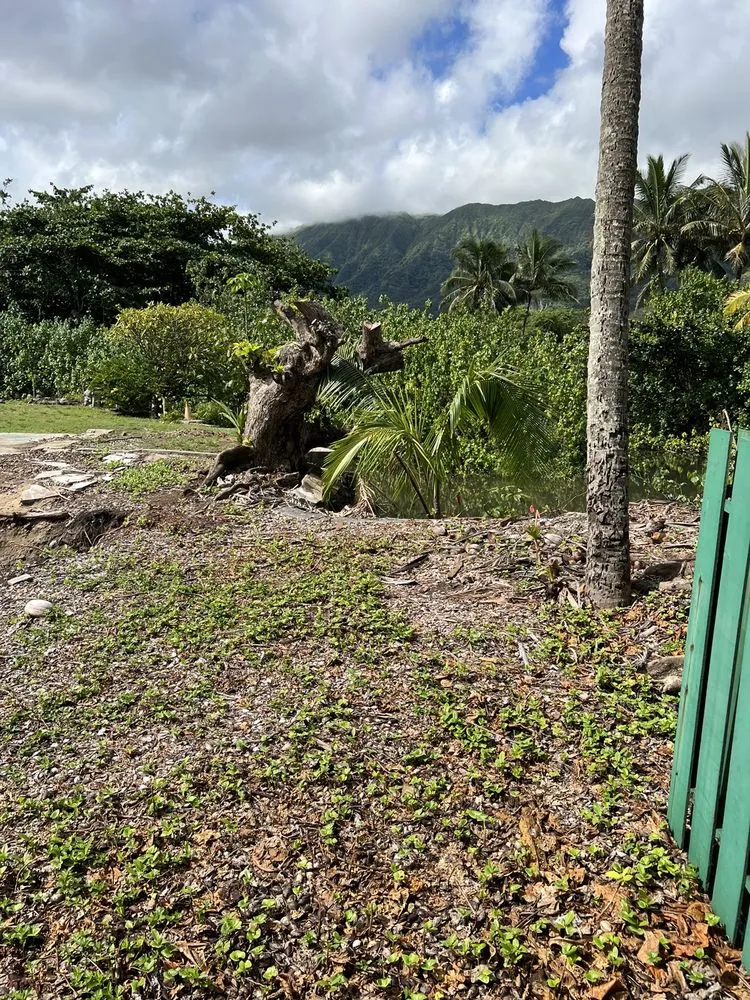 Trusted garden landscaping for residential properties in Kaneohe, HI by Yard Work Handy Man