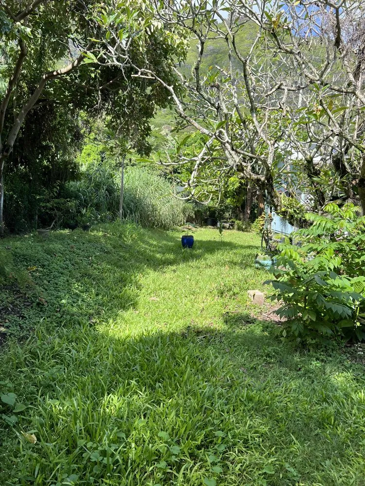 Local garden landscaping near you across Kaneohe, HI - Yard Work Handy Man