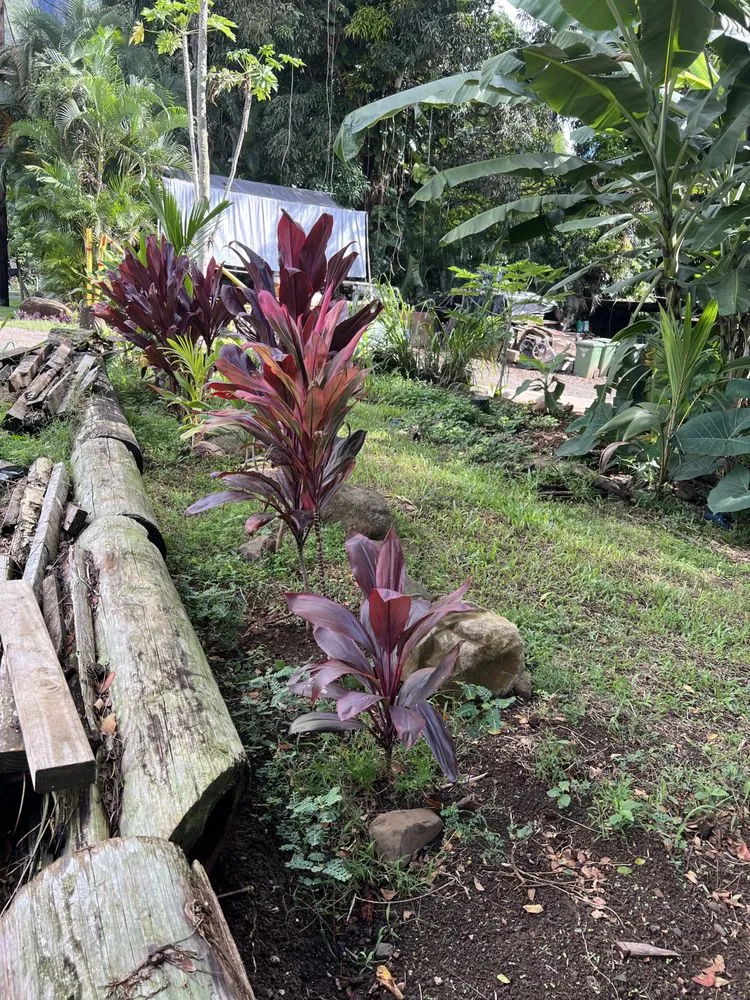 Custom outdoor landscaping in Kaneohe, HI by Yard Work Handy Man