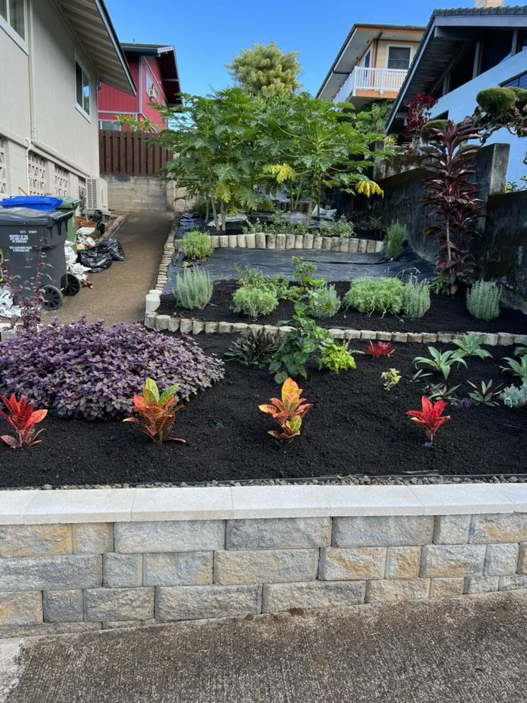 Expert yard maintenance experts serving Kaneohe, HI - Yard Work Handy Man