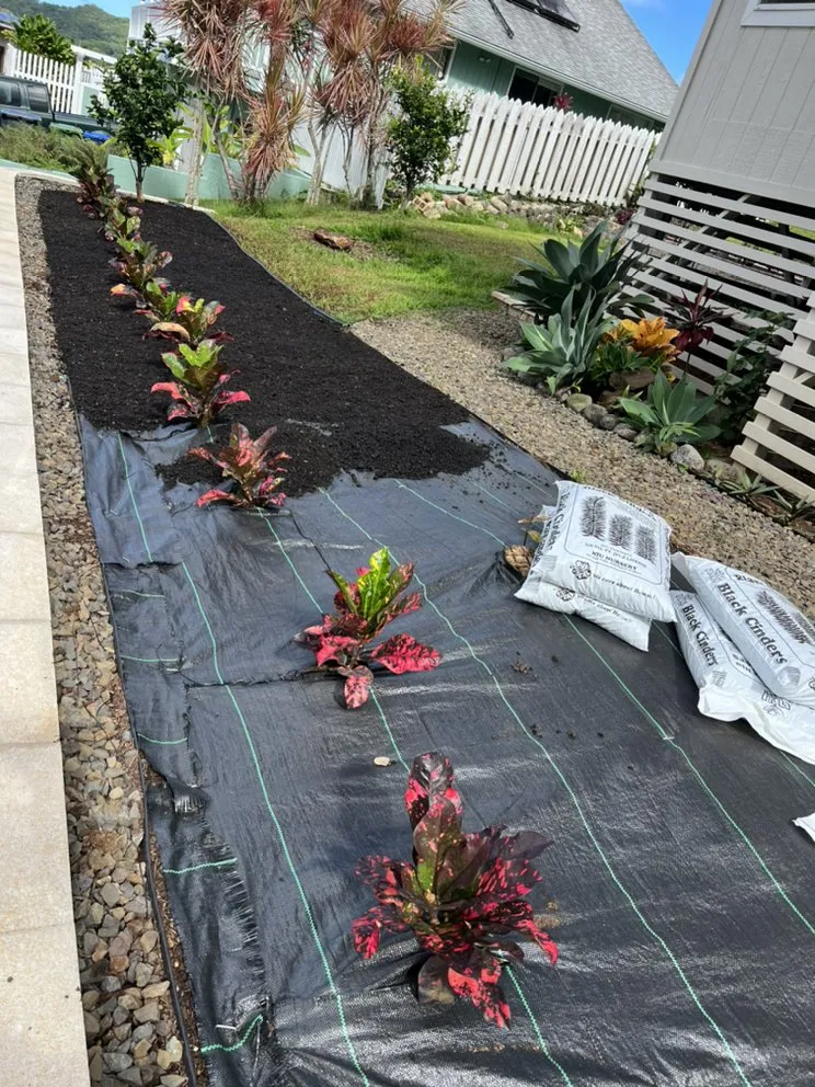 Local residential landscaping experts serving Kaneohe, HI - Yard Work Handy Man