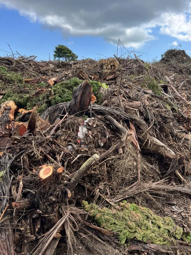 Affordable garden landscaping near you across Kaneohe, HI - Yard Work Handy Man