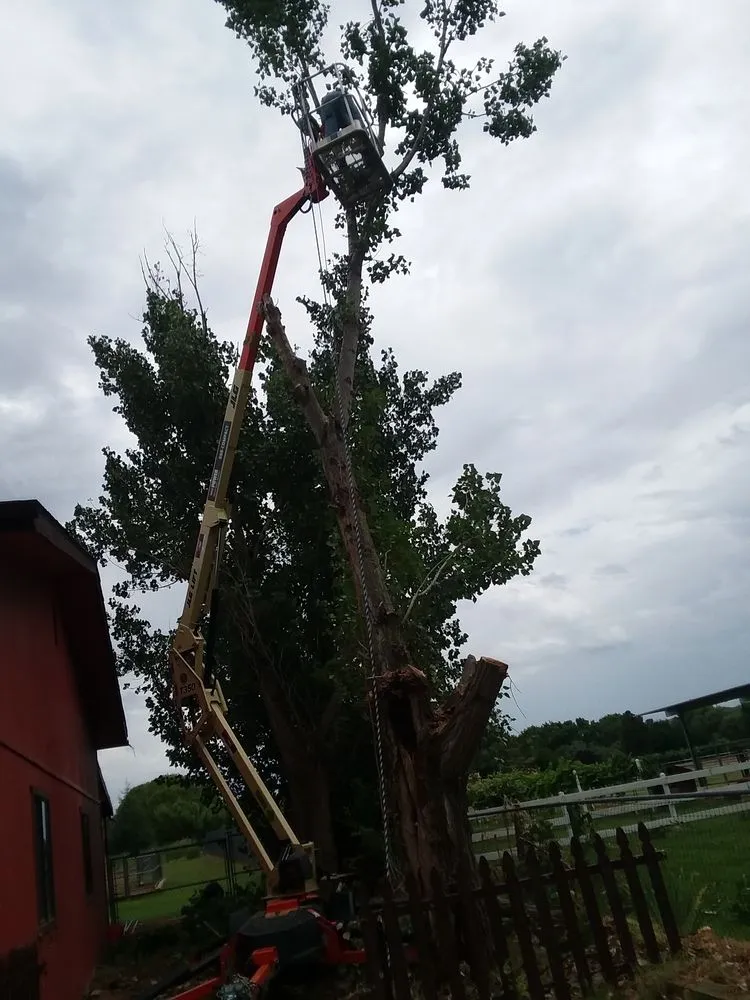 Custom lawn mowing service experts serving Prescott Valley, AZ - Yard Work Joe's