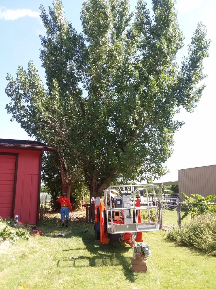 Trusted yard maintenance for outdoor upgrades in Prescott Valley, AZ by Yard Work Joe's