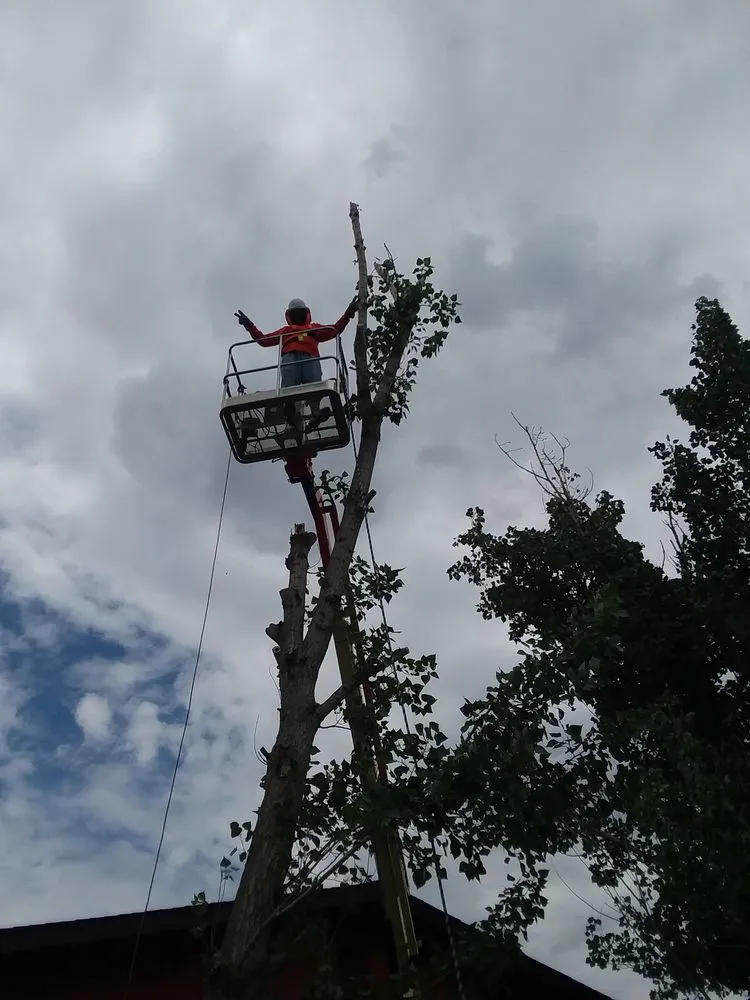 Custom yard maintenance with custom design in Prescott Valley, AZ by Yard Work Joe's