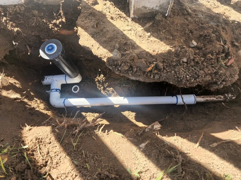 Custom yard cleanup service for homes across Lawndale, CA - Yard Work