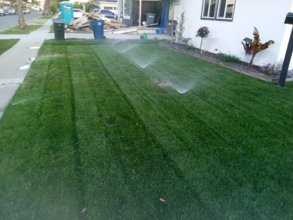 Custom landscaping services in Lawndale, CA by Yard Work