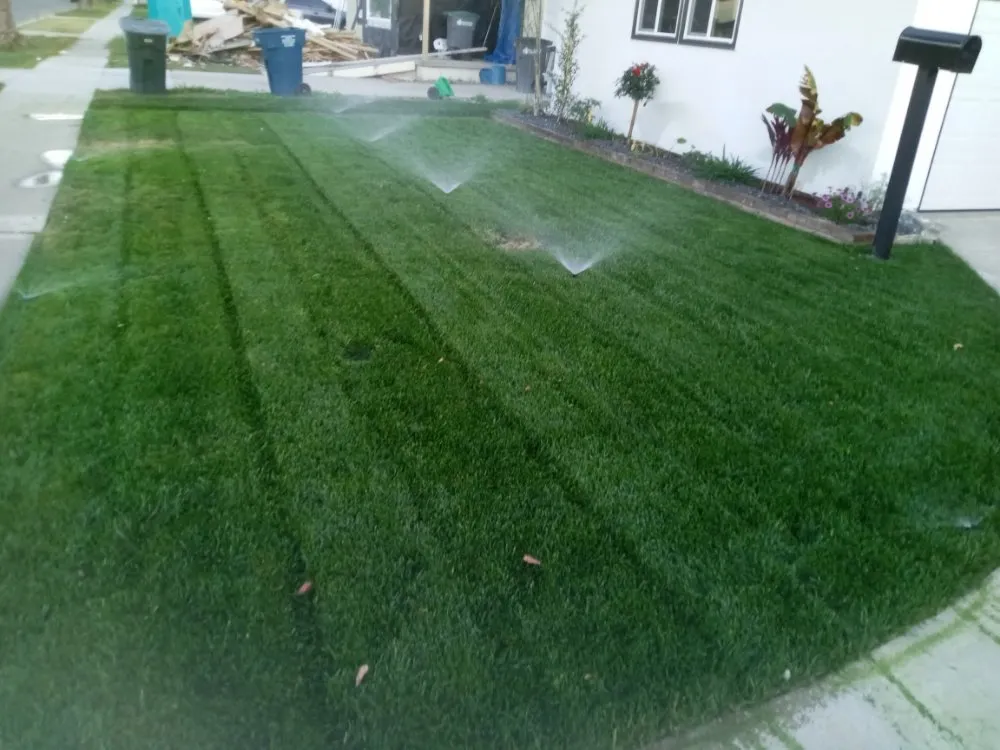Reliable yard cleanup service near you across Lawndale, CA - Yard Work
