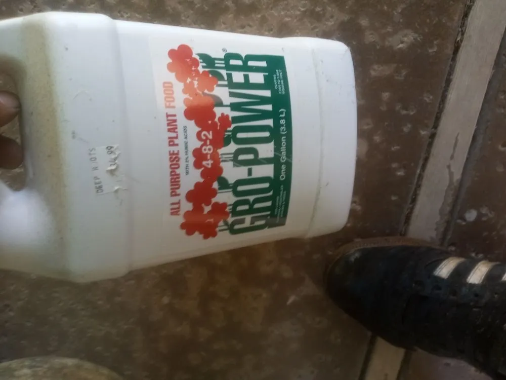 Affordable residential landscaping for homes across Lawndale, CA - Yard Work