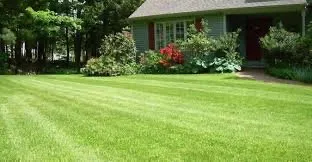 Professional outdoor landscaping in Snellville, GA by Yard Work