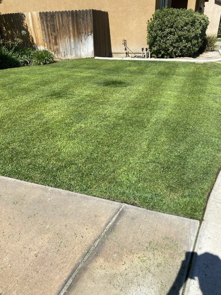 Affordable outdoor landscaping experts serving Bakersfield, CA - Yard Works