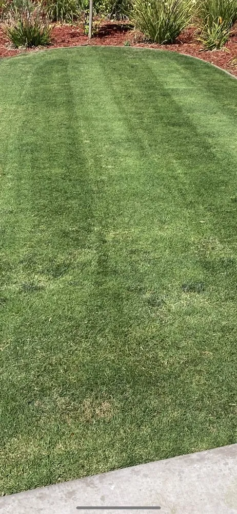 Affordable landscaping services experts serving Bakersfield, CA - Yard Works