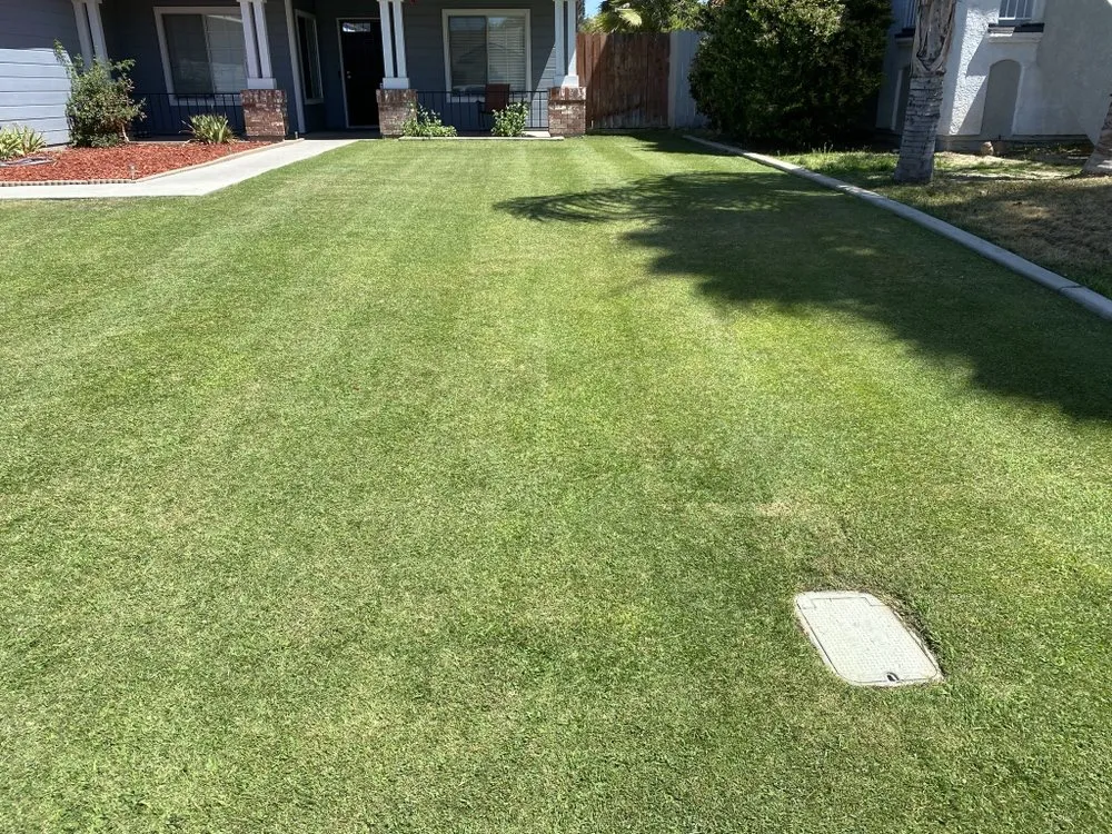 Professional landscape installation experts serving Bakersfield, CA - Yard Works