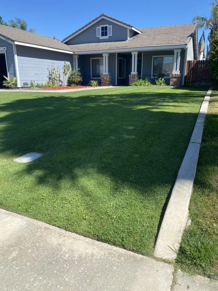 Trusted yard maintenance in Bakersfield, CA - Yard Works