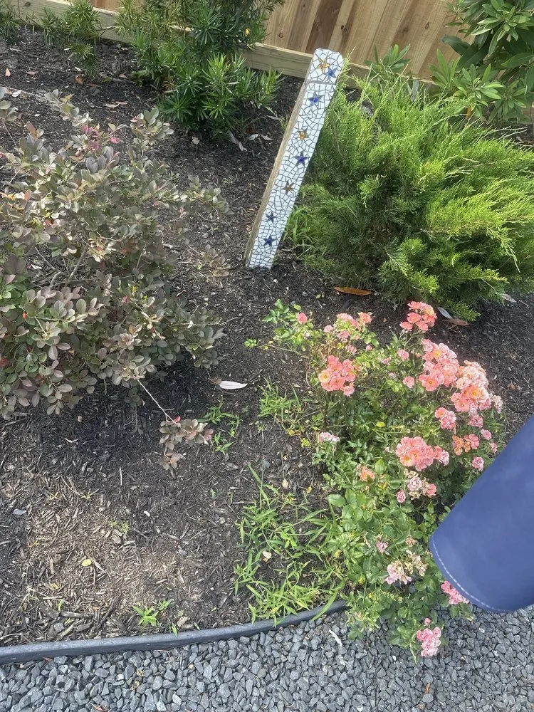 Affordable landscape installation in Friendswood, TX - Yard Works Gulf Coast