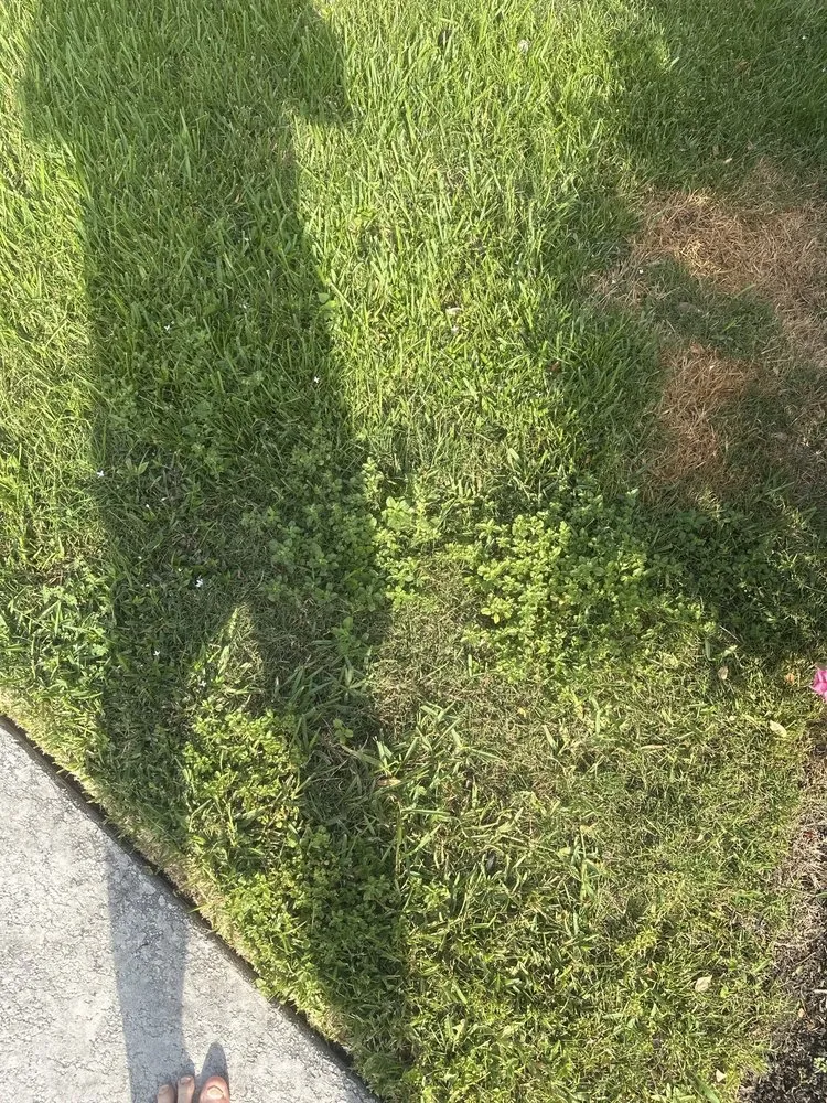 Reliable lawn mowing service experts serving Friendswood, TX - Yard Works Gulf Coast