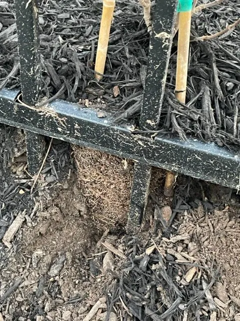 Affordable outdoor landscaping with custom design across Friendswood, TX - Yard Works Gulf Coast