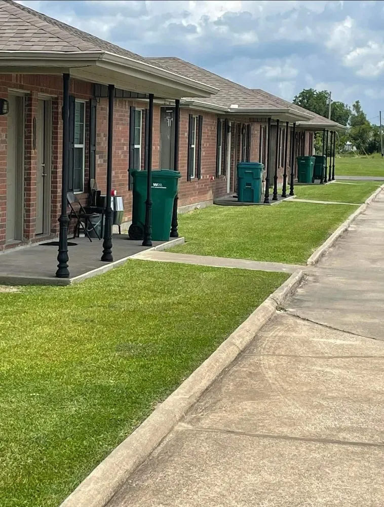 Professional yard cleanup service in Iowa, LA - Yard Works