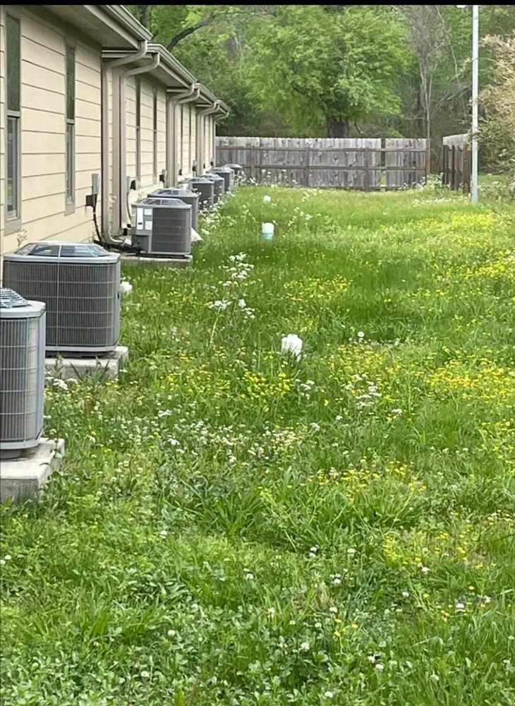 Reliable yard maintenance in Iowa, LA - Yard Works